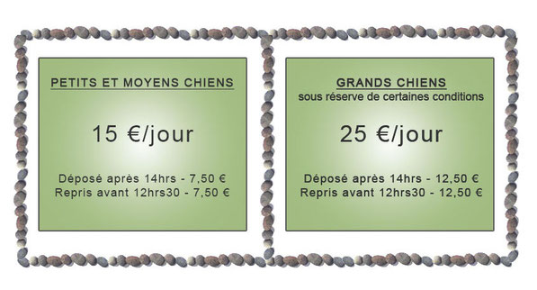 pension chien tarif