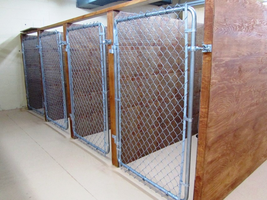 pension chien tarif