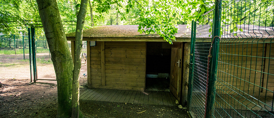 pension chien ury