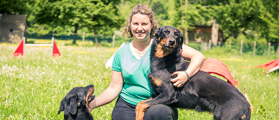 pension chien ury