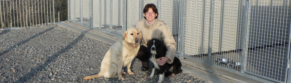 pension chien ussel
